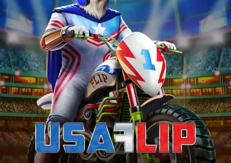 USA FLIP