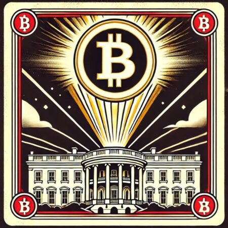 Bitcoin’s Rise and the Role of the U.S. Government