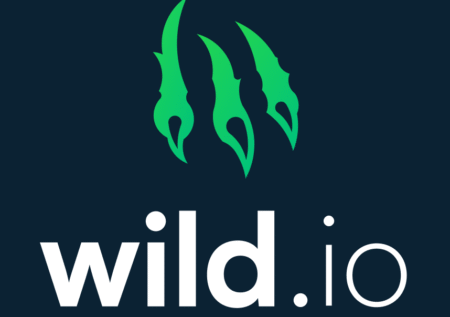 Wild.io Casino